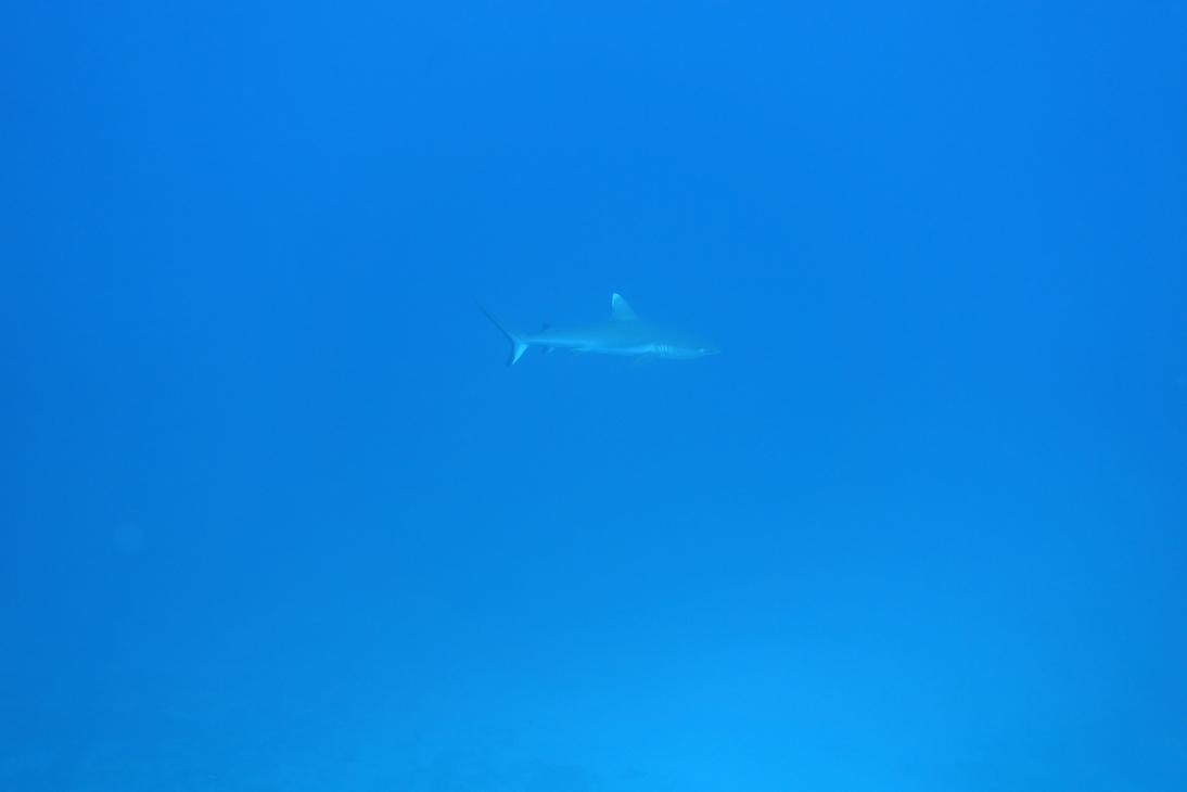 DSC00198.JPG