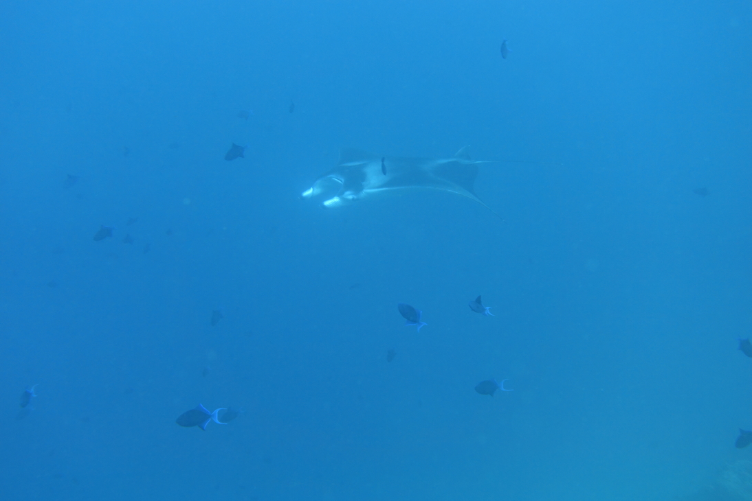 DSC00252.JPG