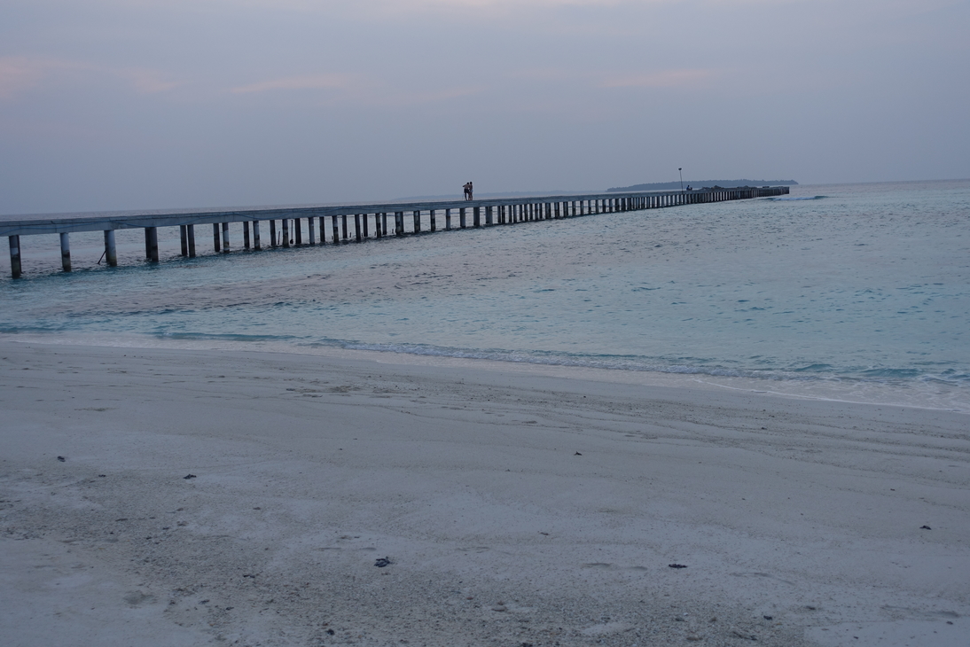 DSC00266.JPG