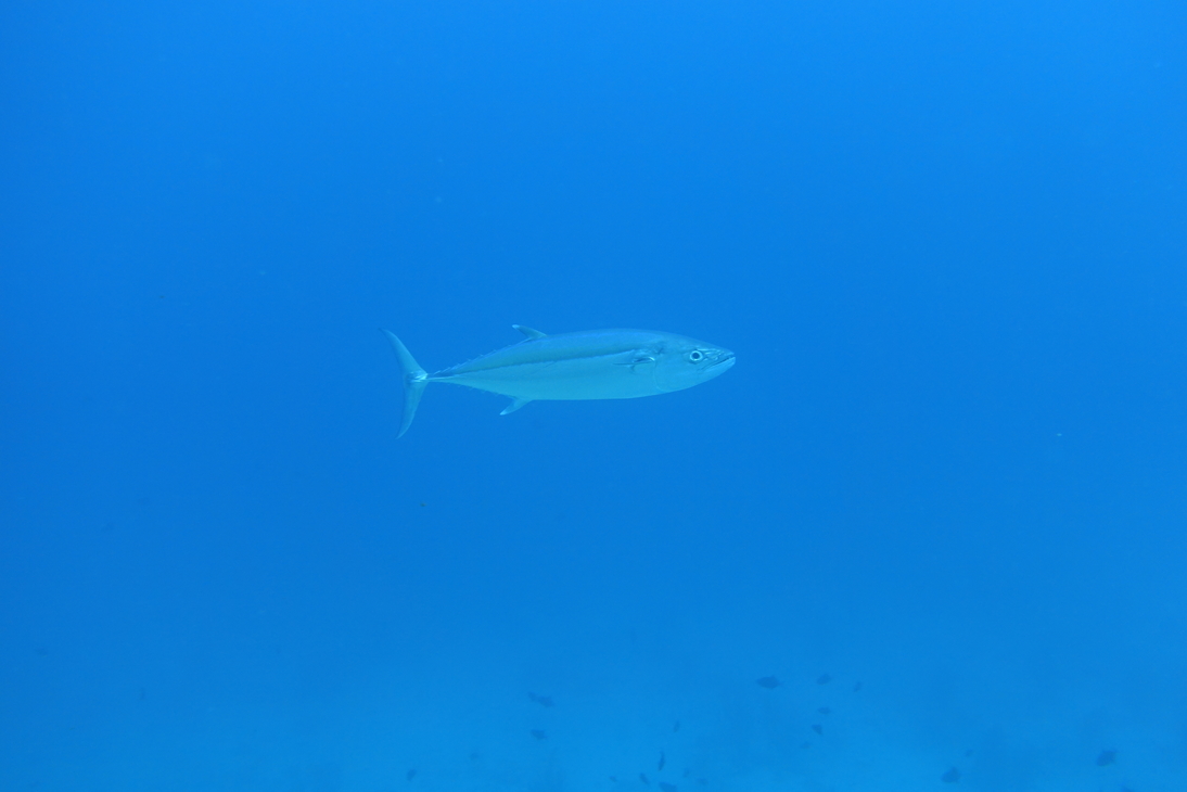 DSC00269.JPG