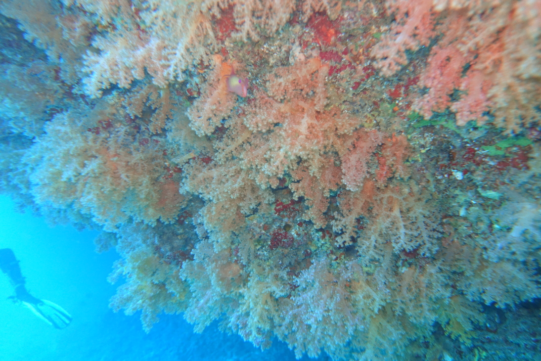 DSC00285.JPG
