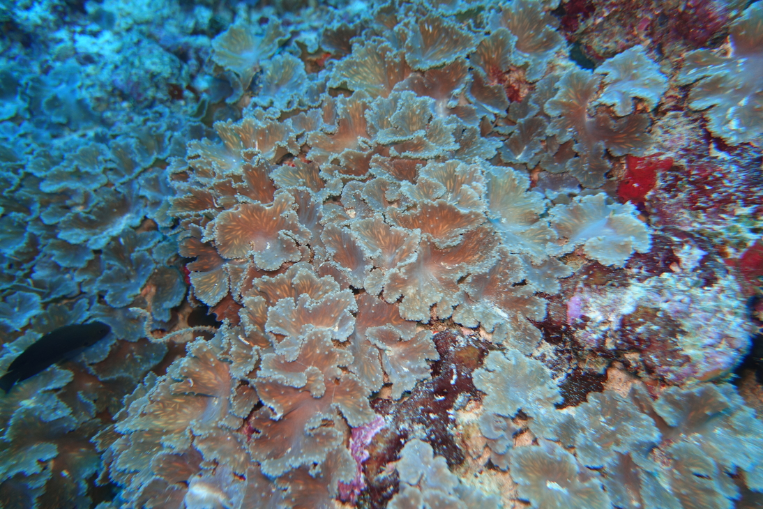 DSC00288.JPG