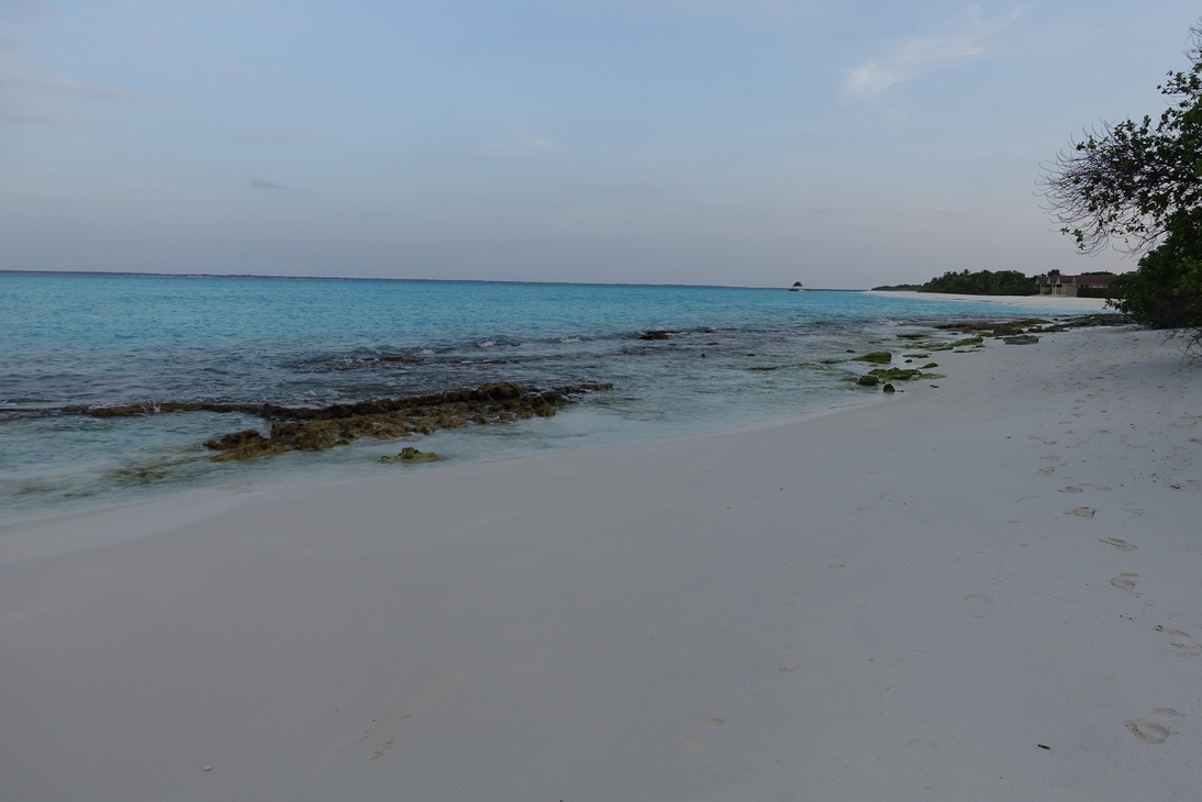 DSC00374.JPG