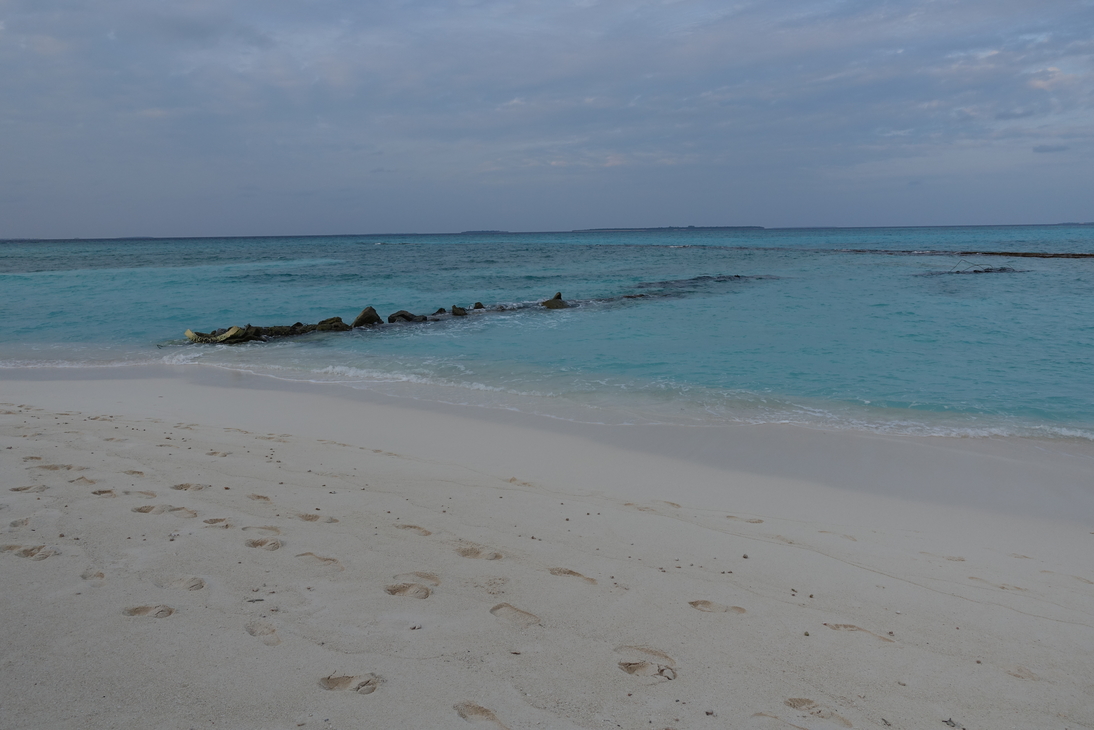 DSC00379.JPG