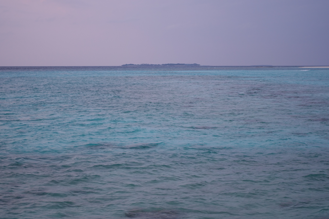 DSC00393.JPG