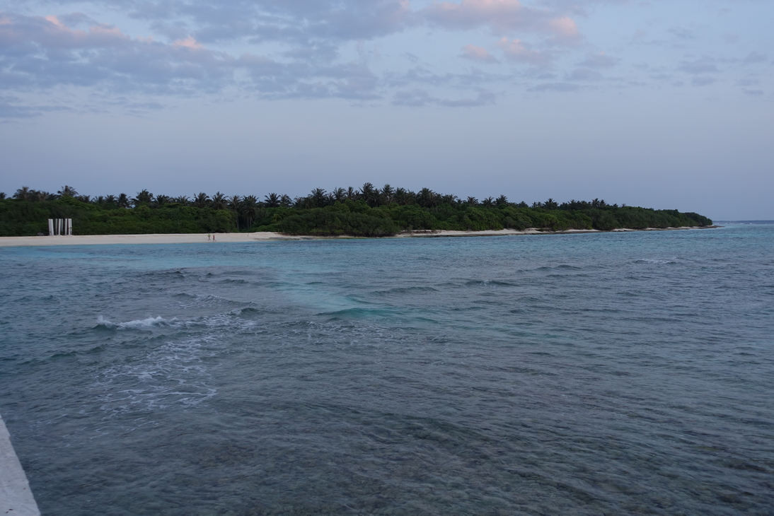 DSC00394.JPG