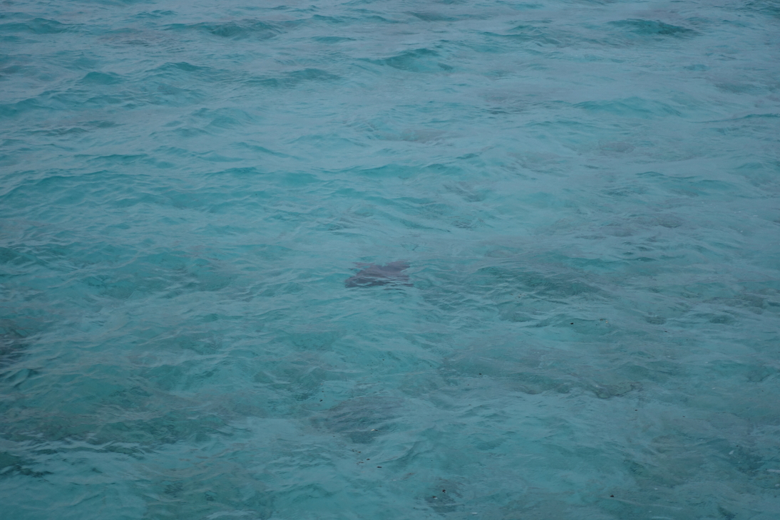 DSC00395.JPG