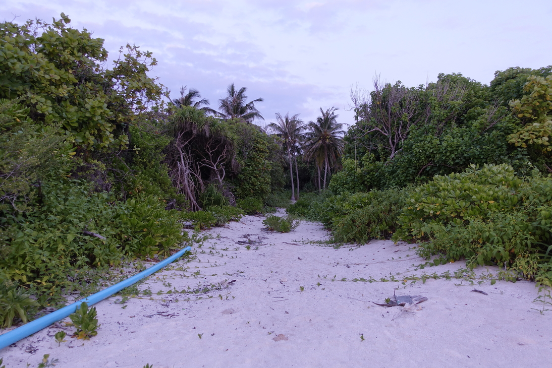 DSC00396.JPG