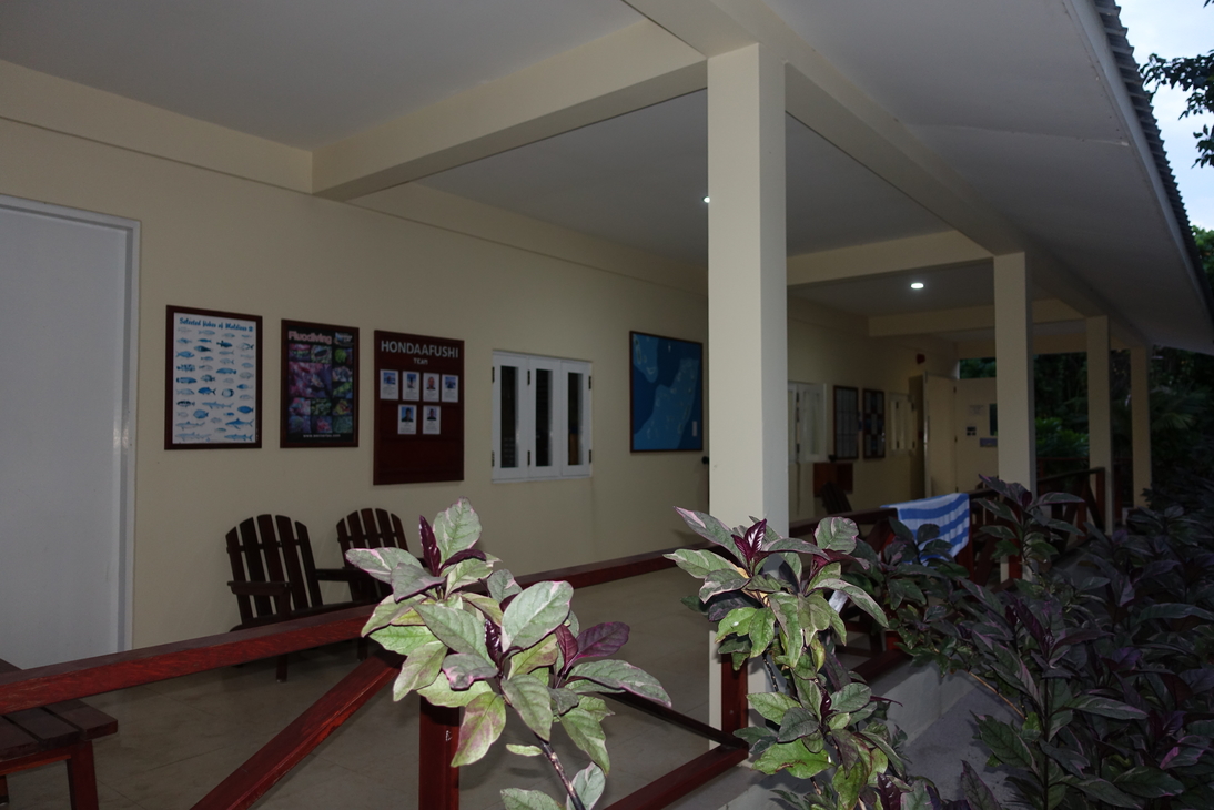 DSC00400.JPG