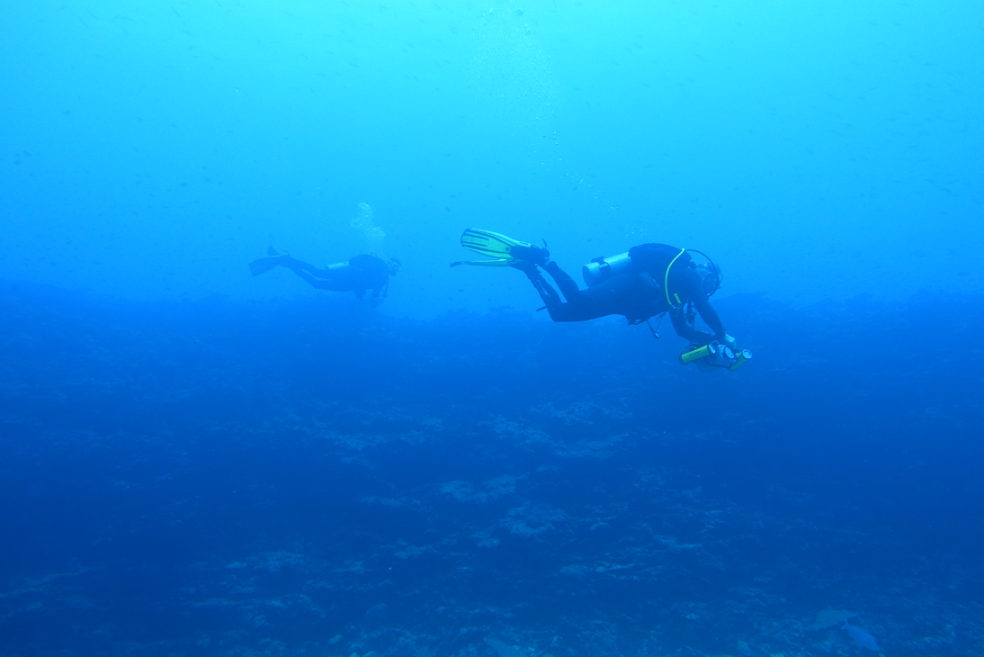 DSC00468.JPG