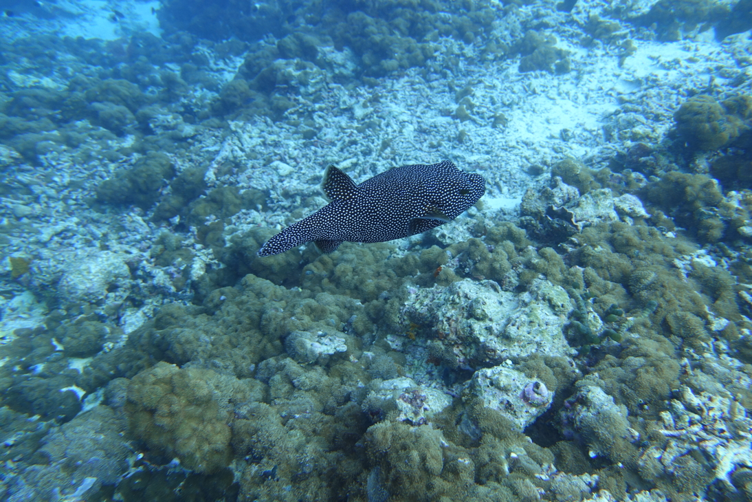 DSC00488.JPG