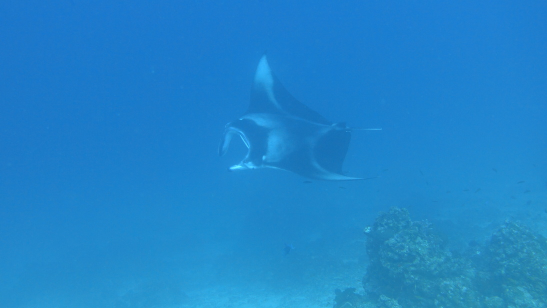 DSC00535.JPG