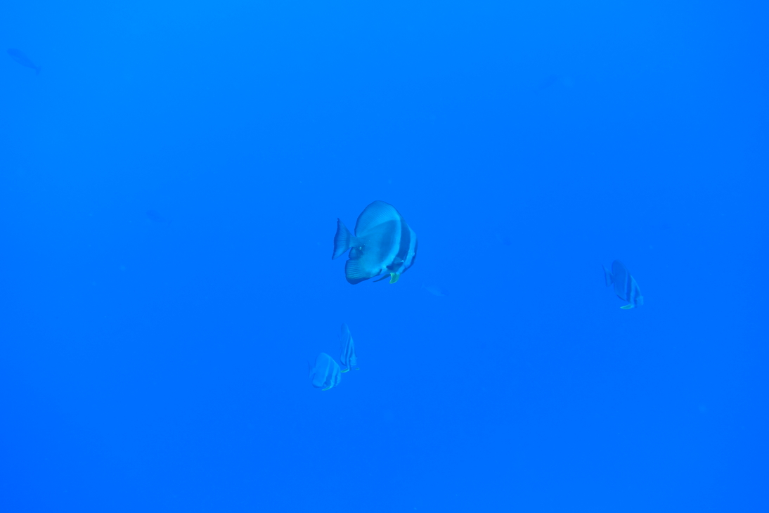 DSC00564.JPG