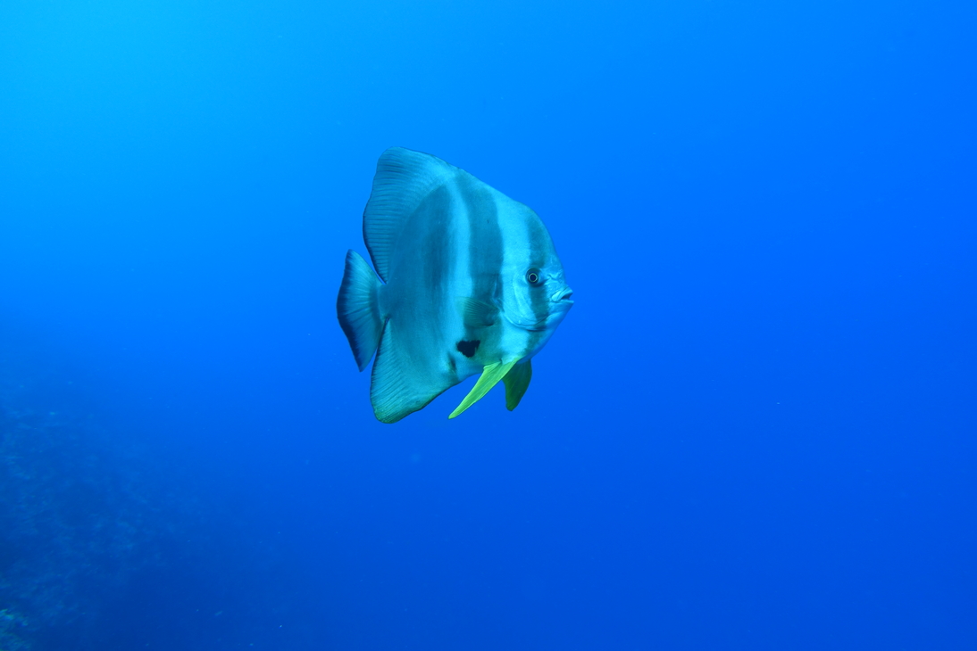 DSC00569.JPG
