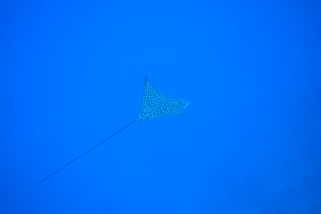 DSC00572.JPG