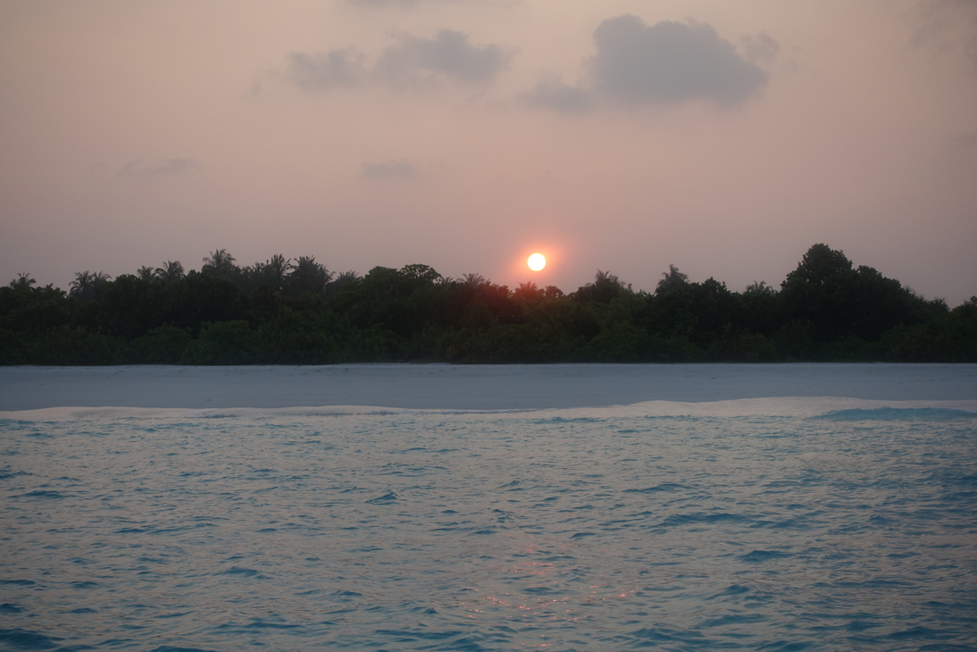 DSC00582.JPG