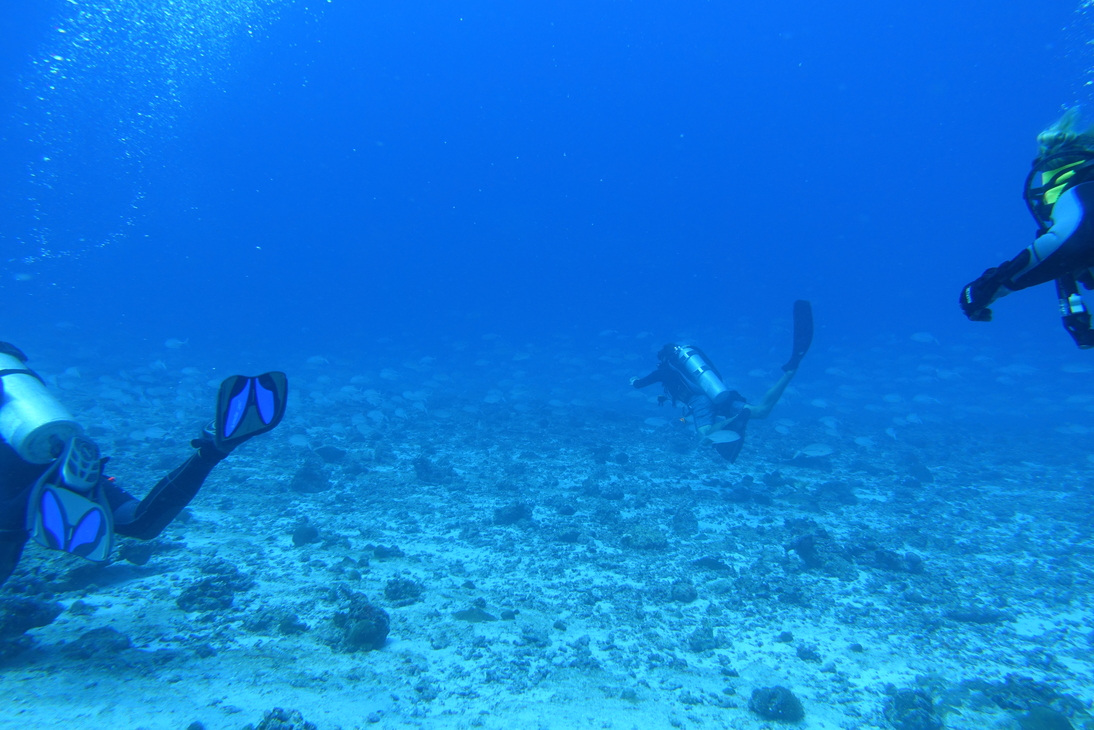 DSC00584.JPG