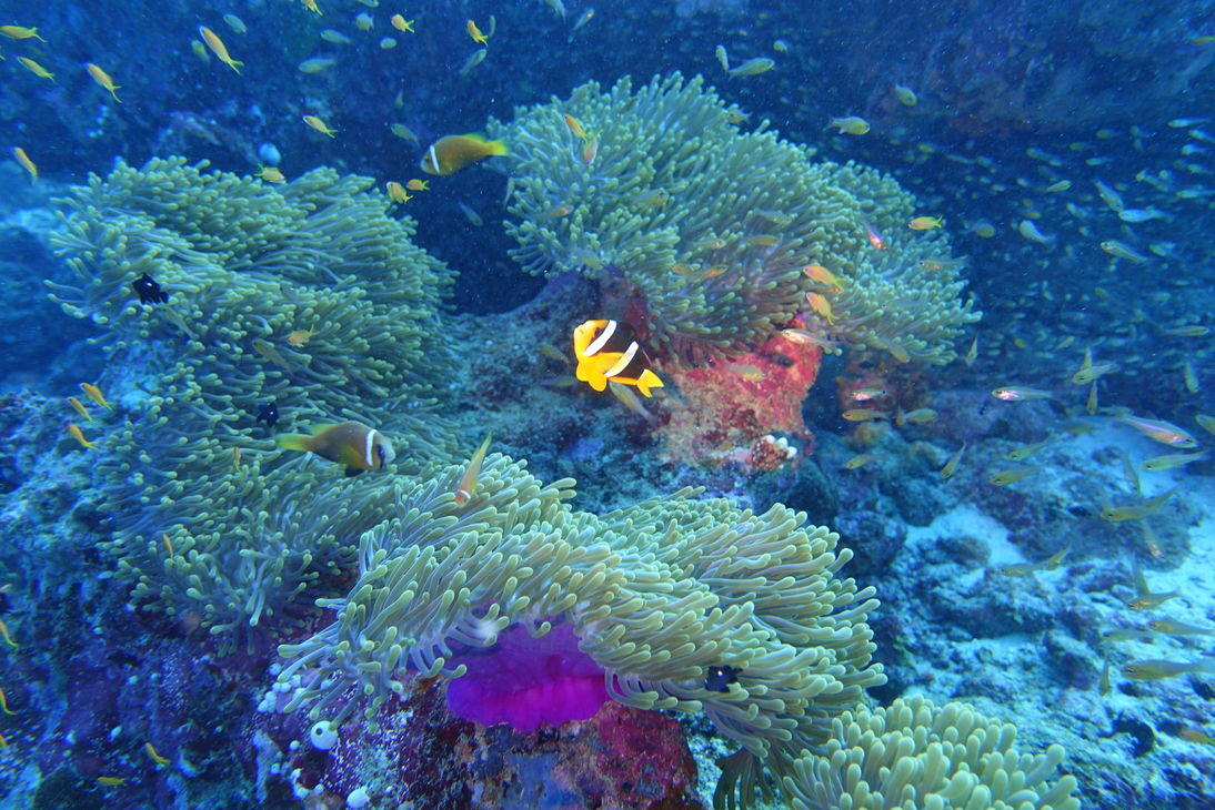 DSC00594.JPG