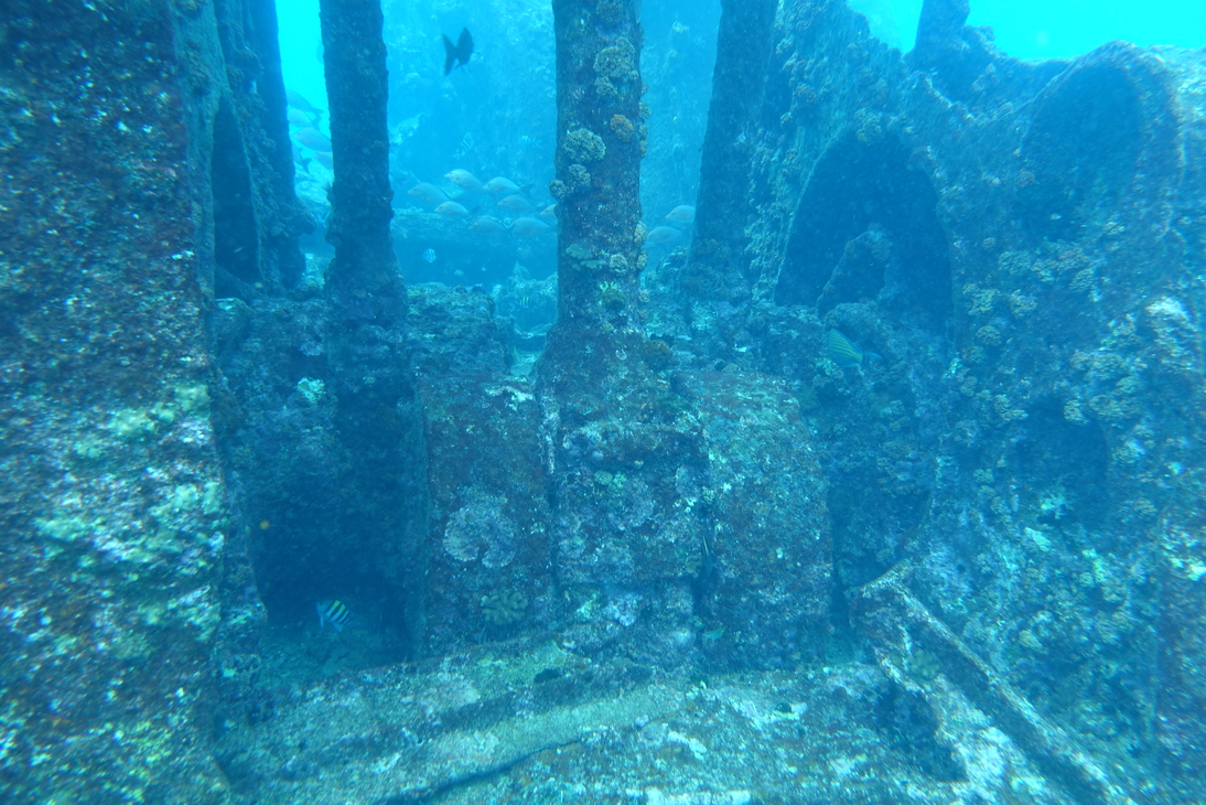 DSC00648.JPG