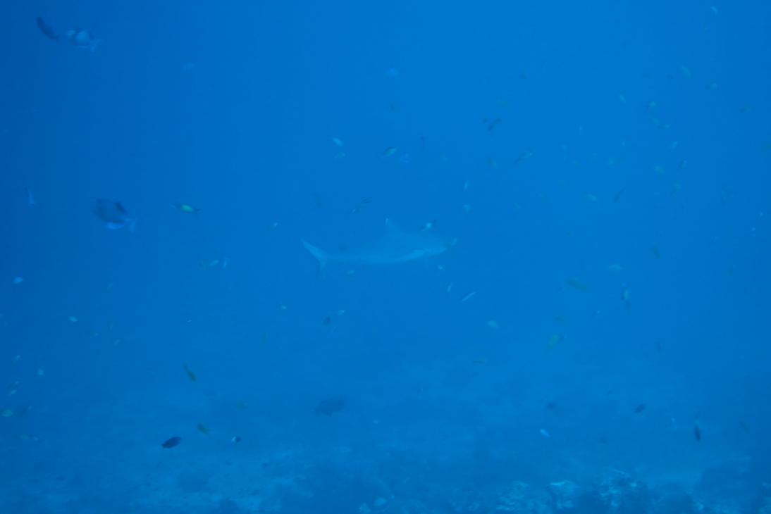 DSC00663.JPG