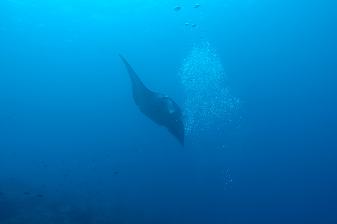 DSC00722.JPG
