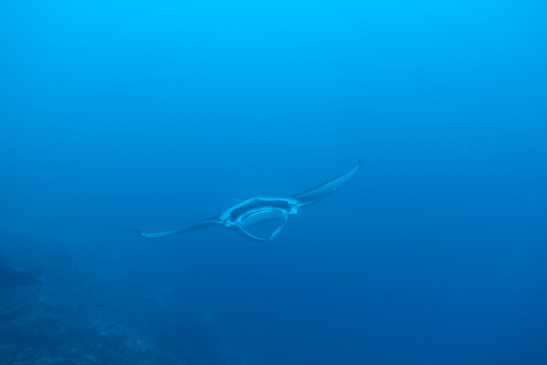 DSC00726.JPG