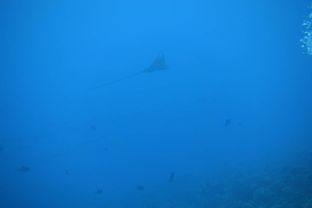 DSC00755.JPG