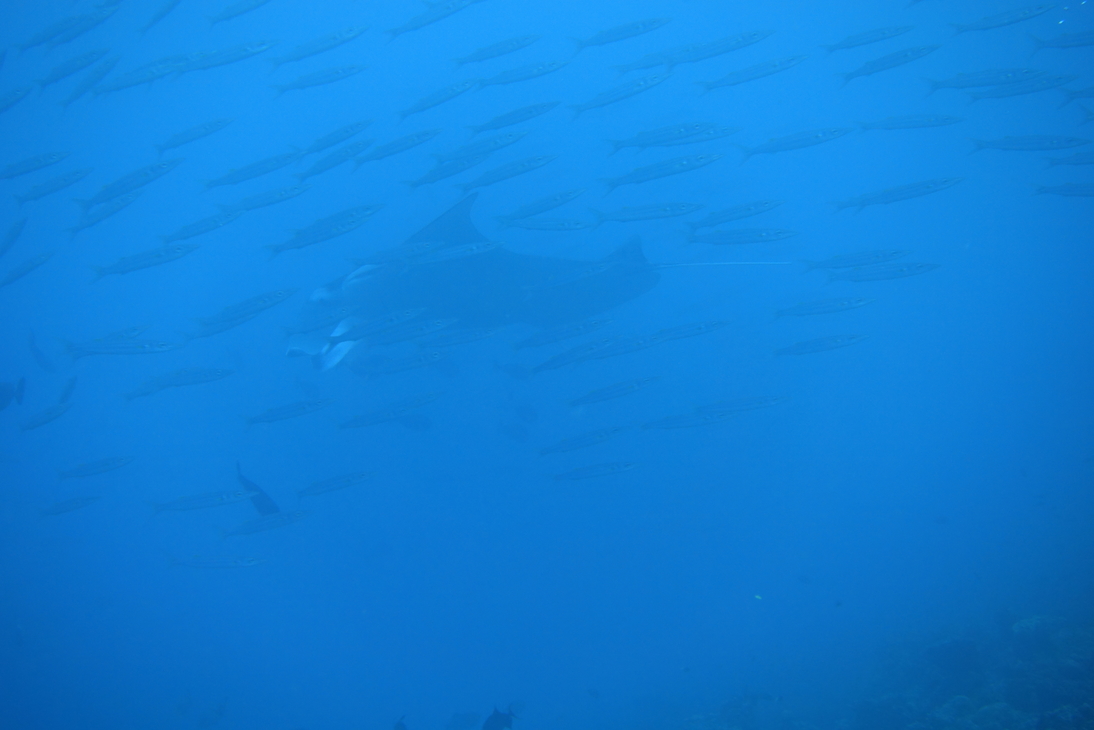 DSC00756.JPG