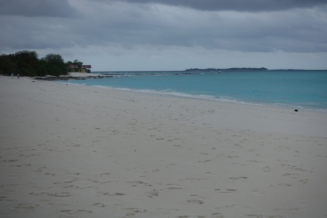 DSC00764.JPG