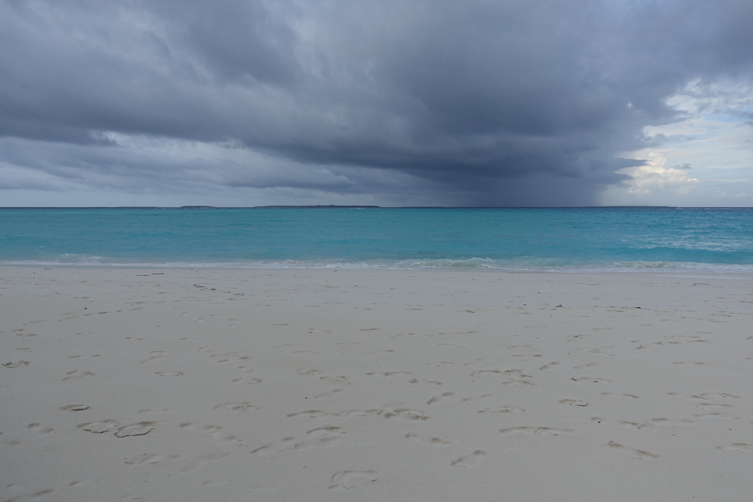 DSC00765.JPG
