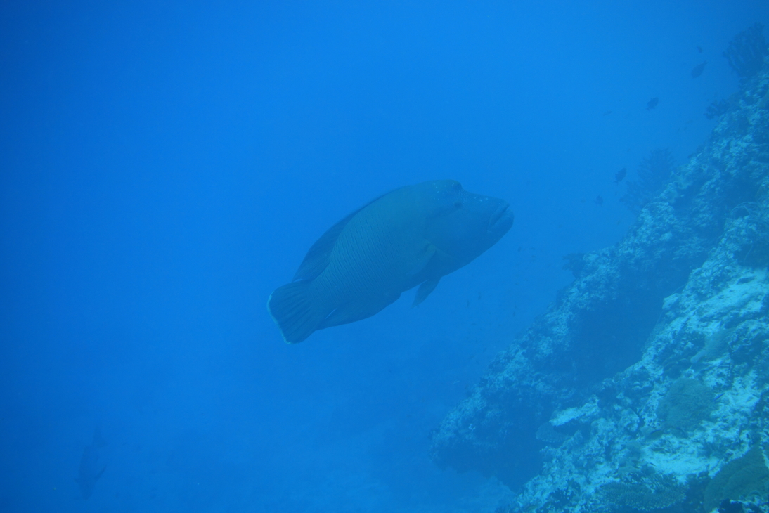 DSC00829.JPG