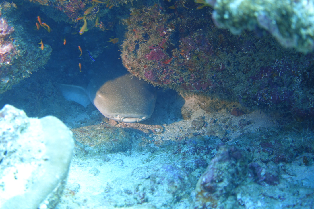 DSC00848.JPG
