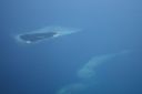 Filename=DSC00157.JPG
Filesize=370KiB
Dimensions=1094x730
Date added=Jan 04, 2019 DSC00157.JPG