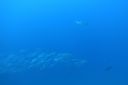 DSC00205.JPG