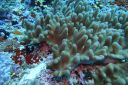 DSC00212.JPG
