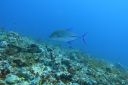 DSC00213.JPG