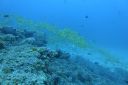 DSC00214.JPG