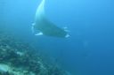 DSC00223.JPG
