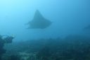 DSC00228.JPG