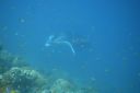 DSC00233.JPG