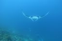DSC00235.JPG