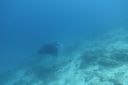 DSC00250.JPG
