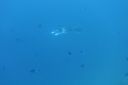 DSC00252.JPG