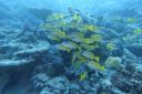 DSC00260.JPG