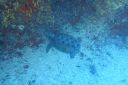 DSC00275.JPG