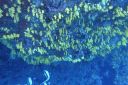 DSC00279.JPG