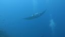 DSC00310.JPG