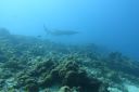 DSC00317.JPG