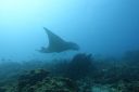 DSC00323.JPG