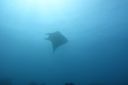 DSC00329.JPG